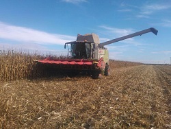 cosechadoras21