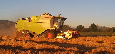cosechadoras24