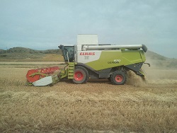 cosechadoras25
