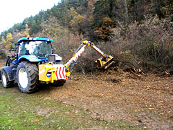 desbrocesForestales01