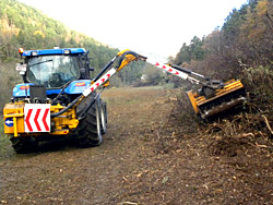 desbrocesForestales02