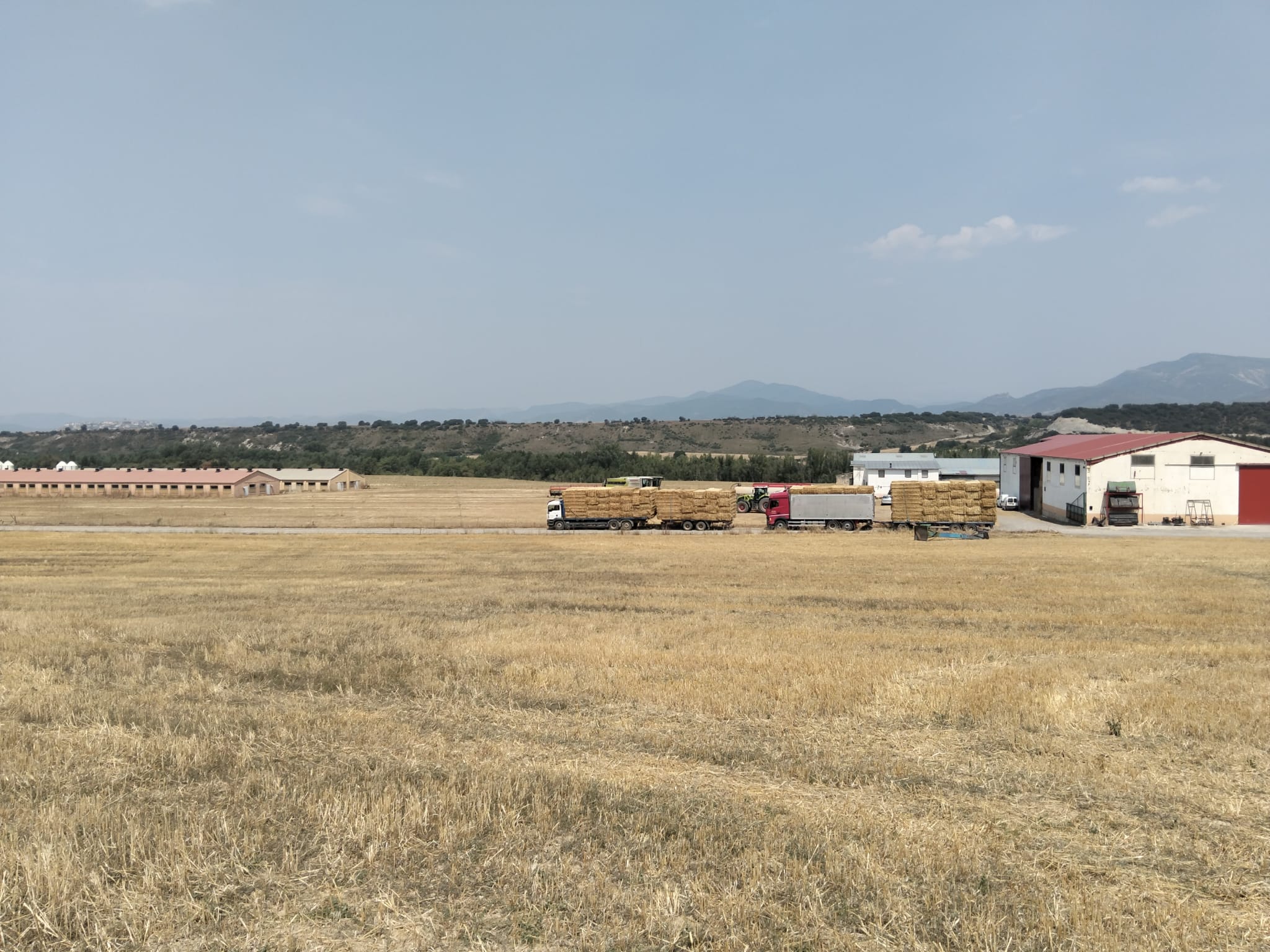 FOTO 10 SERVICIOS AGRICOLAS JACA LARRAZ