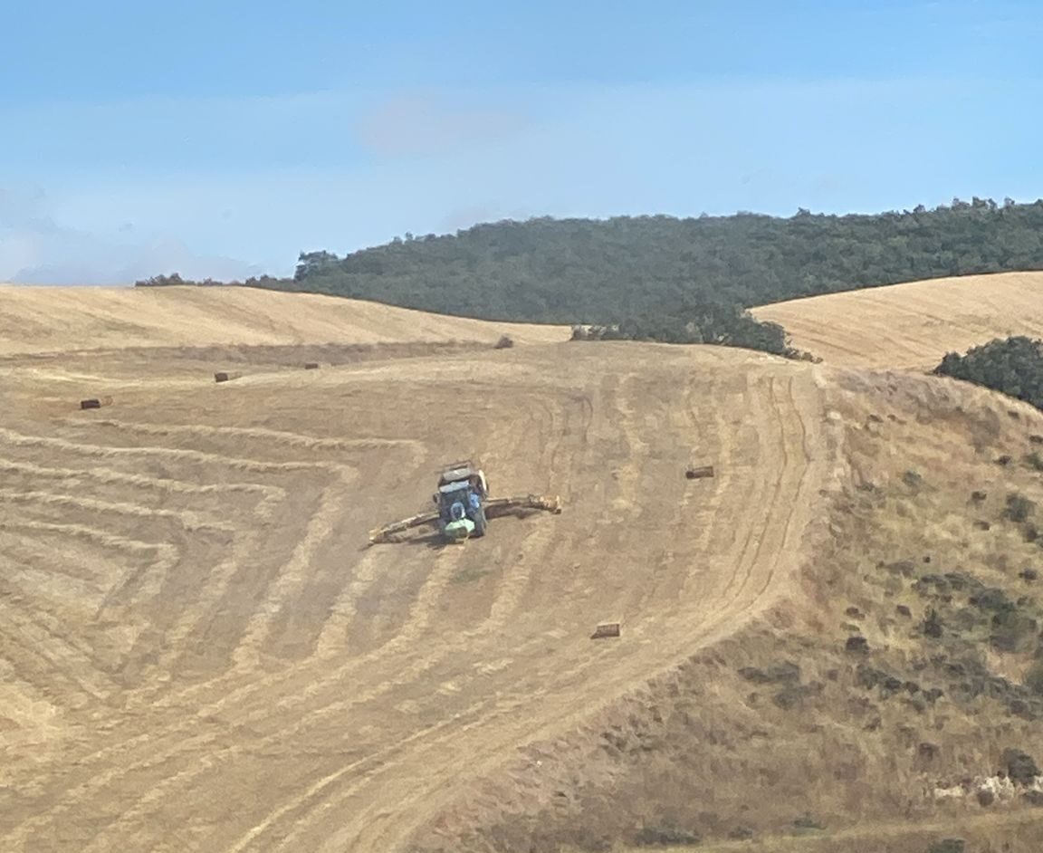 FOTO 50 SERVICIOS AGRICOLAS JACA LARRAZ