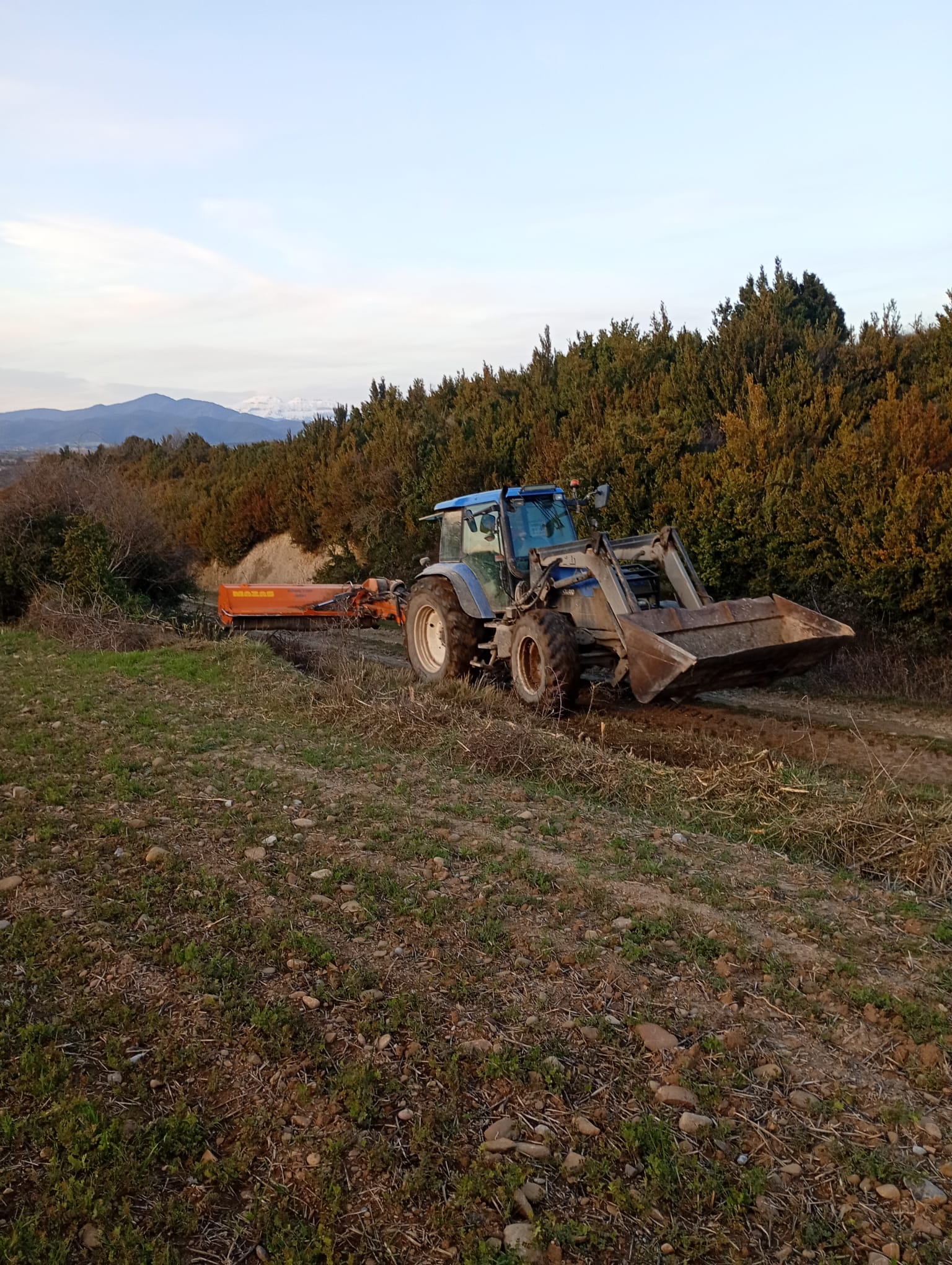 FOTO 80 SERVICIOS AGRICOLAS JACA LARRAZ